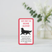 Mijn dichter, Dog is alleen thuiskaart Contactkaartje (Staand voorkant)