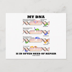 Mijn DNA heeft vaak behoefte aan reparatie (DNA-Hu Briefkaart