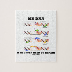 Mijn DNA heeft vaak behoefte aan reparatie (DNA-Hu Legpuzzel