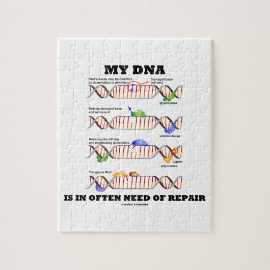 Mijn DNA heeft vaak behoefte aan reparatie (DNA-Hu Legpuzzel (Verticaal)