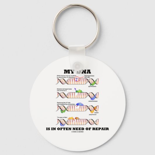 Mijn DNA heeft vaak behoefte aan reparatie (DNA-Hu Sleutelhanger (Voorkant)