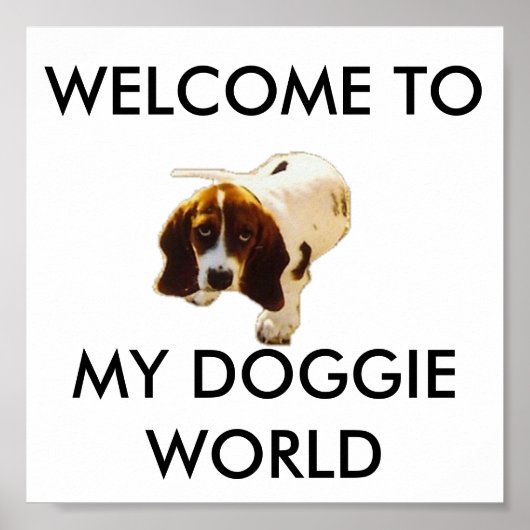 MIJN DOGGIE WERELD, WELKOM AAN POSTER (Voorkant)