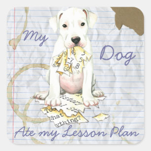 Mijn dogo Ate Mijn Lesson Plan Vierkante Sticker