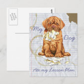 Mijn Dogue de Bordeaux Ate Mijn Lesson Plan Briefkaart (Voorkant / Achterkant)