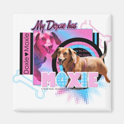 Mijn Doxie heeft lef Magneet (Voorkant)