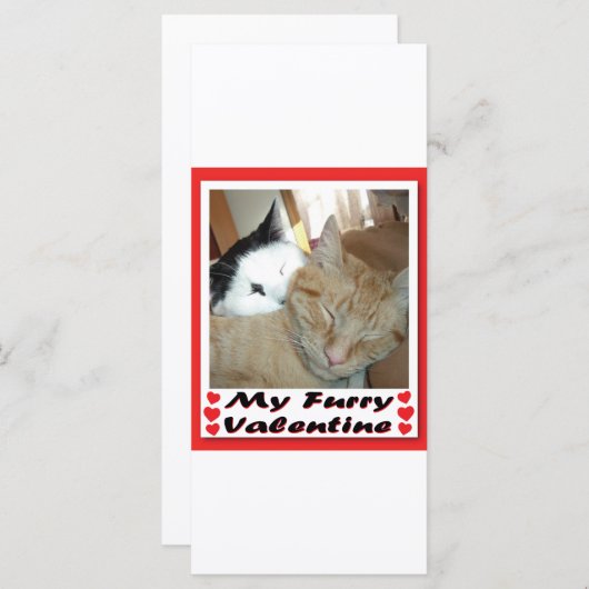 Mijn drijfmest-Valentijn (Voorkant / Achterkant)