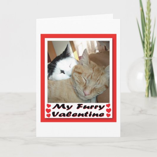 Mijn drijfmest-Valentijn Feestdagen Kaart (Voorkant)