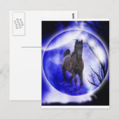 Mijn droom briefkaart (Voorkant / Achterkant)