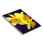 Mijn dvd-laptop (jouw naam toevoegen) notitieboek (Rechterzijde)