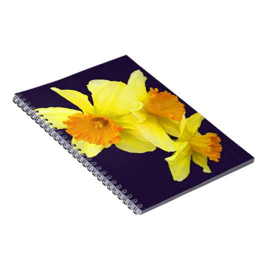 Mijn dvd-laptop (jouw naam toevoegen) notitieboek (Rechterzijde)