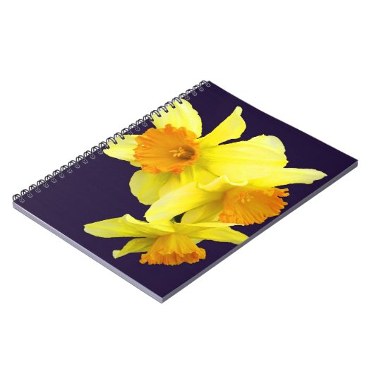 Mijn dvd-laptop (jouw naam toevoegen) notitieboek (Linkerzijde)