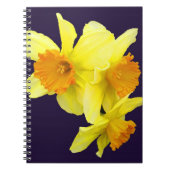 Mijn dvd-laptop (jouw naam toevoegen) notitieboek (Voorkant)