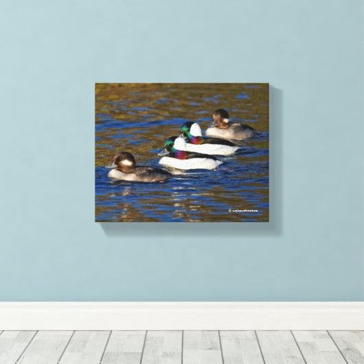 Mijn eenden in een rij krijgen: vier buffelwagens canvas afdruk (Insitu (Houten vloer))