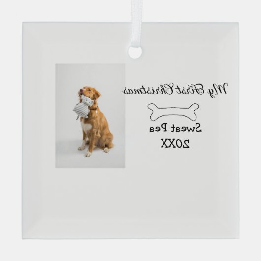 Mijn eerste kerst dier foto naam jaar bot glas ornament (Achterkant)