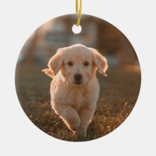 Mijn eerste kerst moderne eenvoudige puppy huisdie keramisch ornament (Voorkant)