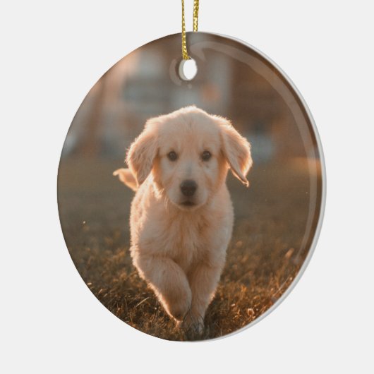 Mijn eerste kerst moderne eenvoudige puppy huisdie keramisch ornament (Links)