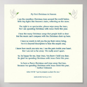 Mijn eerste kerstfeest in het Poster van de hemel