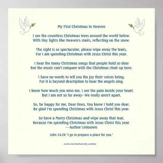 Mijn eerste kerstfeest in het Poster van de hemel (Voorkant)