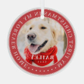 Mijn eerste Kerstfeest voor altijd Thuis Modern Pe Glas Ornament (Achterkant)