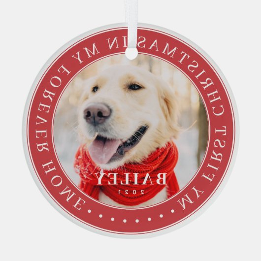 Mijn eerste Kerstfeest voor altijd Thuis Modern Pe Glas Ornament (Achterkant)