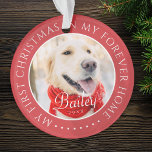 Mijn eerste Kerstfeest voor altijd Thuis Modern Pe Ornament<br><div class="desc">Dit eenvoudige en klassieke ontwerp is samengesteld uit serif typografie en voegt een douanefoto toe. "Mijn eerste Kerstmis in mijn voorgoed thuis" omringt de aangepaste foto.</div>