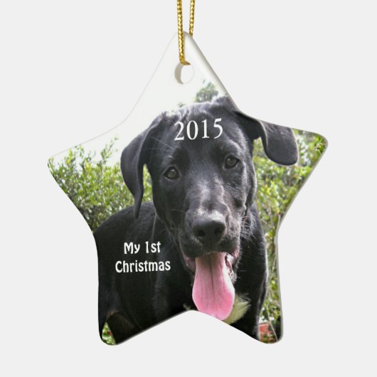 Mijn eerste kerstfoto Ornamenten (Links)