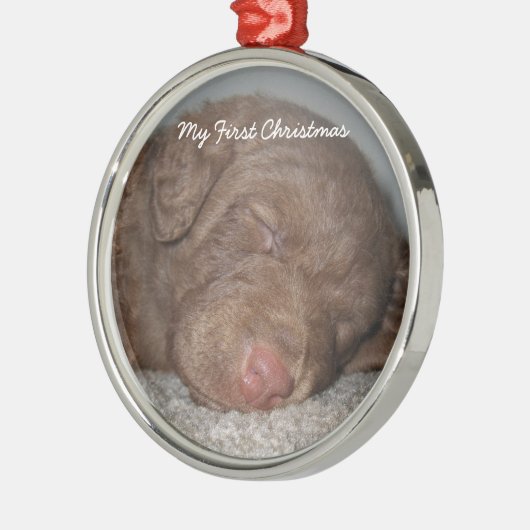 Mijn eerste kerstfoto-Ornamenten uppy Metalen Ornament (Links)