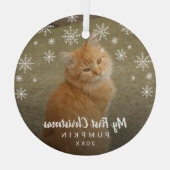 Mijn eerste kerstfoto Snowflakes Cat Photo Glas Ornament (Achterkant)