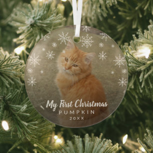 Mijn eerste kerstfoto Snowflakes Cat Photo Glas Ornament