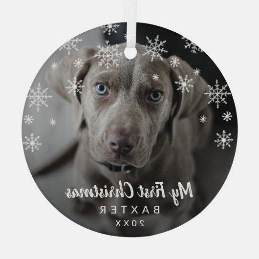 Mijn eerste kerstfoto Snowflakes Dog Glas Ornament (Achterkant)