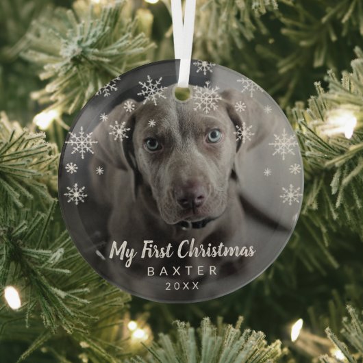 Mijn eerste kerstfoto Snowflakes Dog Glas Ornament (Insitu)
