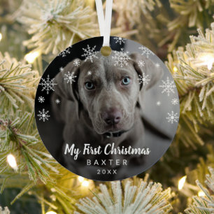Mijn eerste kerstfoto Snowflakes Dog Metalen Ornament