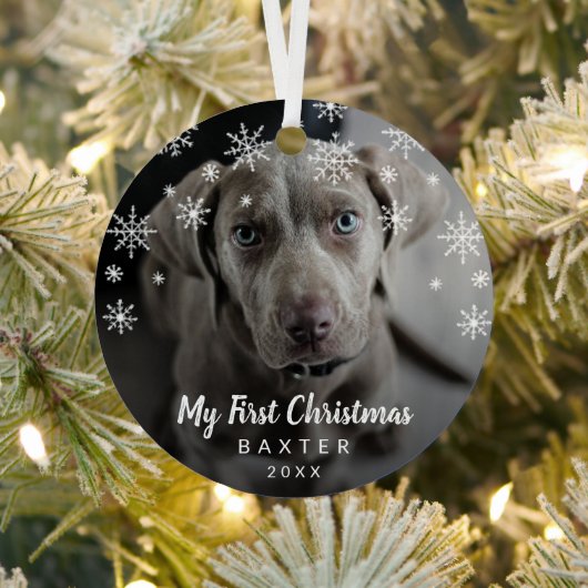 Mijn eerste kerstfoto Snowflakes Dog Metalen Ornament (Insitu)