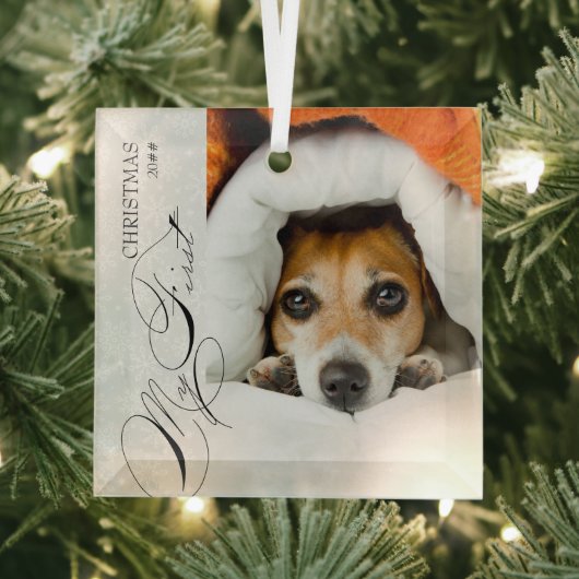 Mijn eerste kerstscript Verticale foto Snowflake Glas Ornament (Insitu)