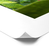 Mijn eerste Kumquat door SRF Poster (Hoek)