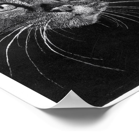 Mijn eigen Poster voor tekende kattengezicht (Hoek)