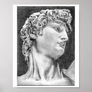 Mijn eigen tekening DAVID na Michelangelo Art Post Poster