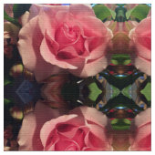 Mijn ene roze roos stof (Close Up)