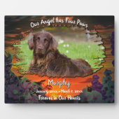 Mijn engel heeft vier poten zonsondergang 2584 fotoplaat (Voorkant)