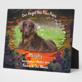 Mijn engel heeft vier poten zonsondergang 2584 fotoplaat (Zijkant)