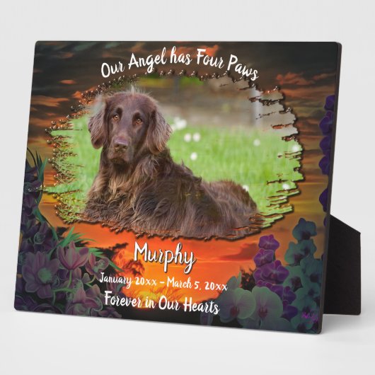 Mijn engel heeft vier poten zonsondergang 2584 fotoplaat (Zijkant)