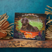 Mijn engel heeft vier poten zonsondergang 2584 fotoplaat (Zijkant)