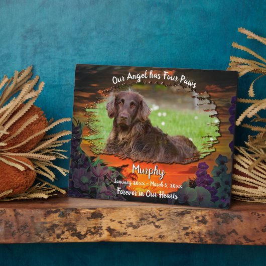 Mijn engel heeft vier poten zonsondergang 2584 fotoplaat (Zijkant)