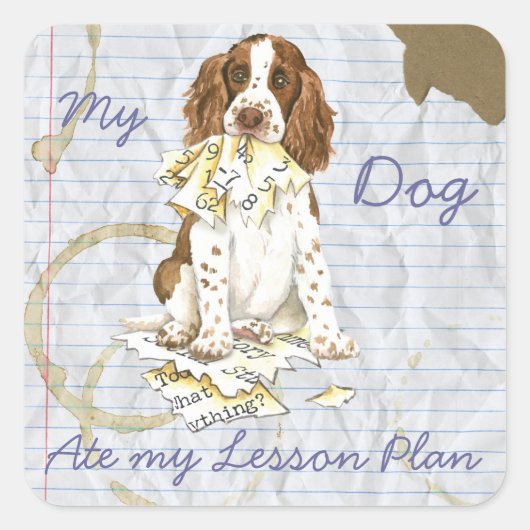 Mijn Engelse Springer Spaniel Ate Mijn Lesson Plan Vierkante Sticker (Voorkant)
