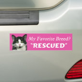 Mijn favoriete Bumpersticker voor borstkat (Op auto)