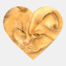 Mijn favoriete gemberkat