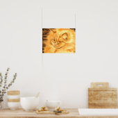 Mijn favoriete gemberkat poster (Keuken)