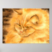 Mijn favoriete gemberkat poster (Voorkant)