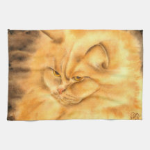 Mijn favoriete gemberkat