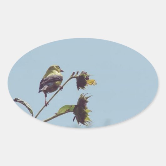 Mijn favoriete kleine bezoekers. #bird #natuur #wi ovale sticker (Voorkant)